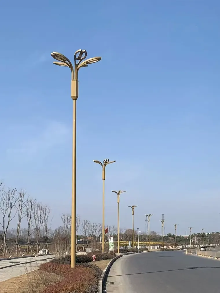 QIJIUJIU decorative LED street light poles installed along a municipal road in daylight